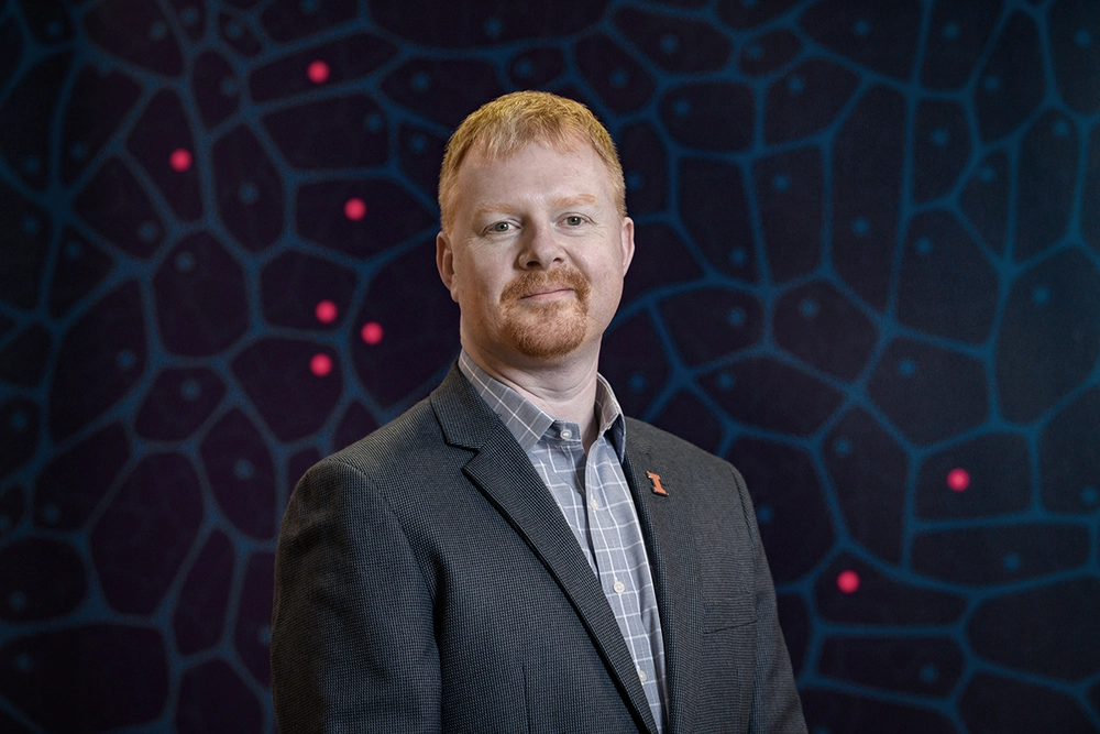 New approach makes AI adaptable for computer vision in crop breeding | School of Integrative